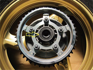 カラーを外したところ